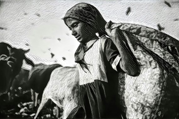 rag_picker_madras_courier