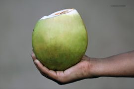 coconut_vendor_madras_courier