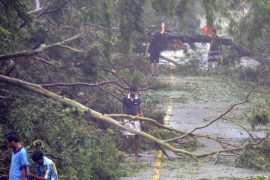 fallen_trees_cyclone_hudhud_madras_courier