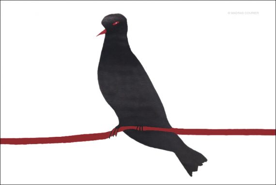 drop_janet_orlene_madras_courier