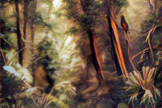 amazon_forest_illustration_bird_madras_courier