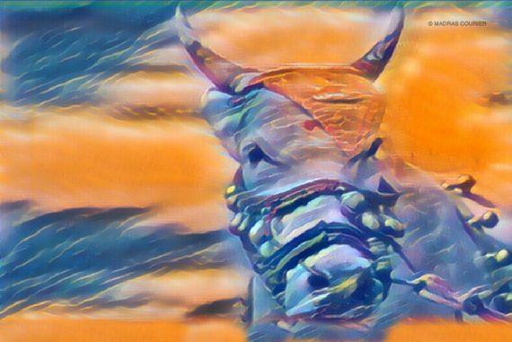 Whispers_madras_Courier_Image_Cow_Poem