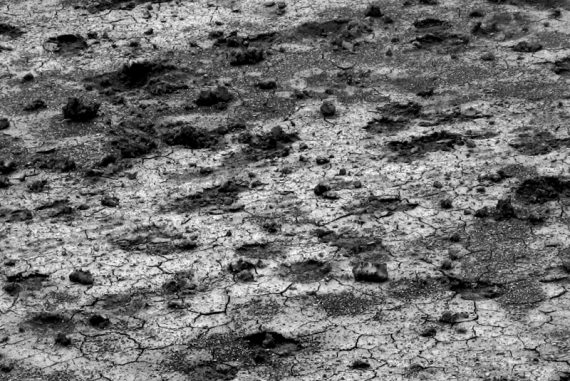 drought_madras_courier_tamilnadu