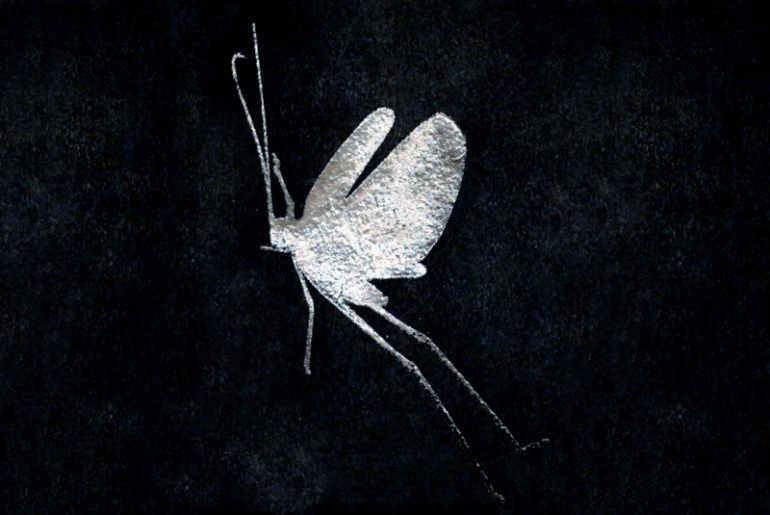 The Eternal Kamasutra Madras Courier