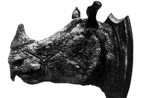 javan_rhino__madras_courier