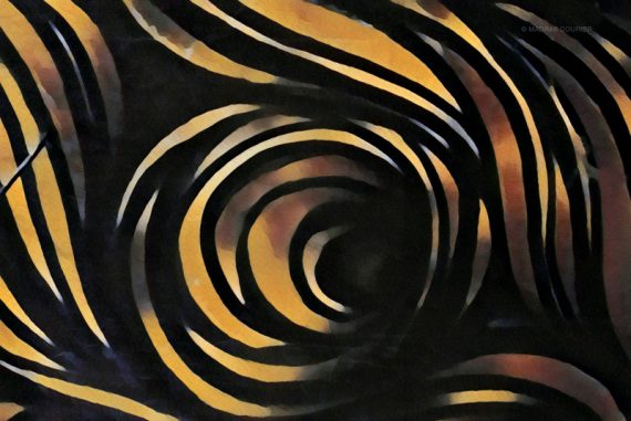 madras_courier_swallow