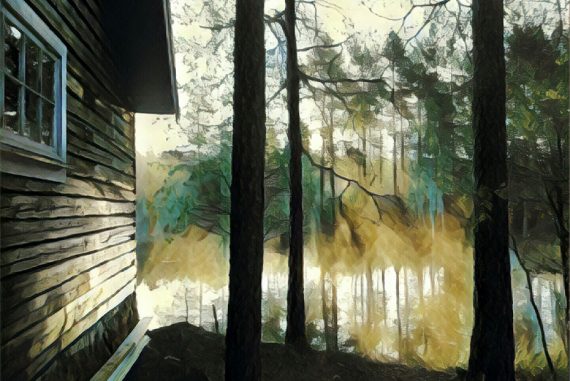 cabin_in_woods_madras-courier