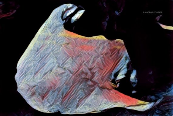 outer_space_rock_madras_courier