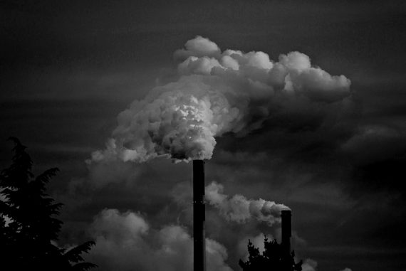 national_green_tribunal_madras_courier