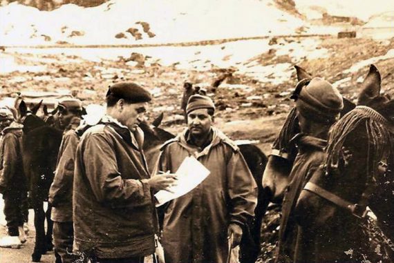 animals_madras_courier