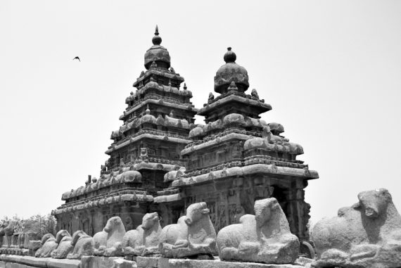 shre_temple_madras_courier