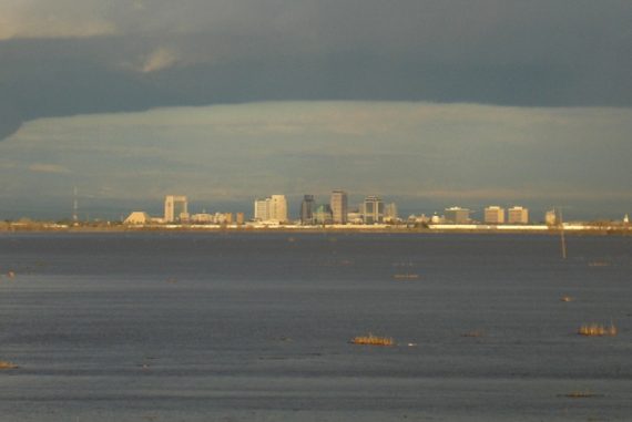 yolo_bypass_floodlain_madras_courier