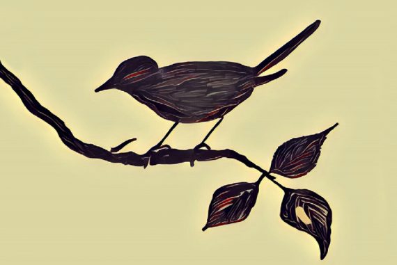 sparrow_madras_courier