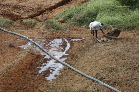 farmer_madras_courier