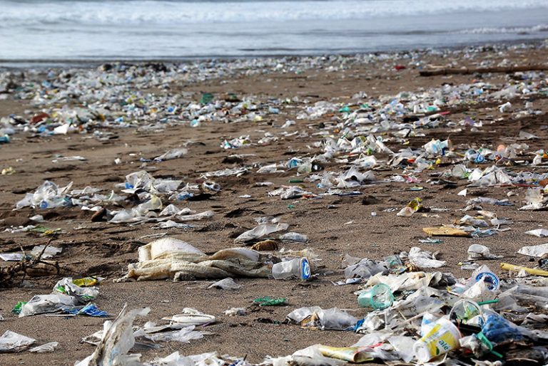 Stopping The Plastic Highways From Choking The Ocean | Madras Courier