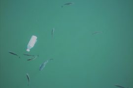 plastic-choking-oceans