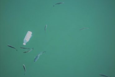 plastic-choking-oceans