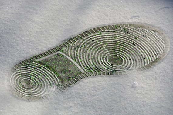 Individual_guide_climate_change_madras_courier