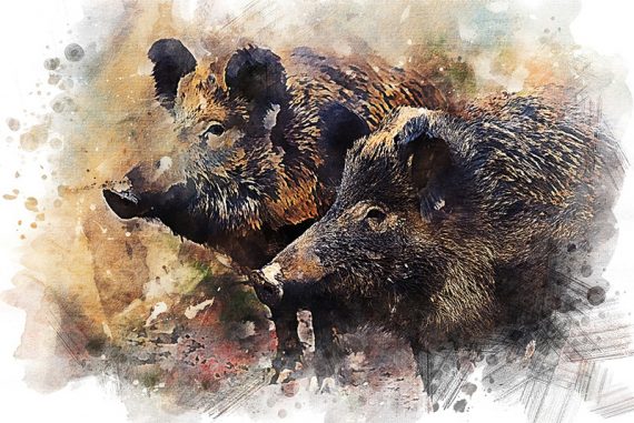 aldreds_case_pigsty_madras-courier