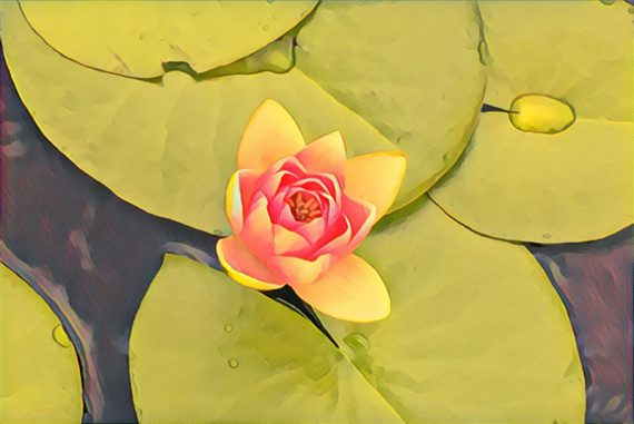 poetry_madras_courier