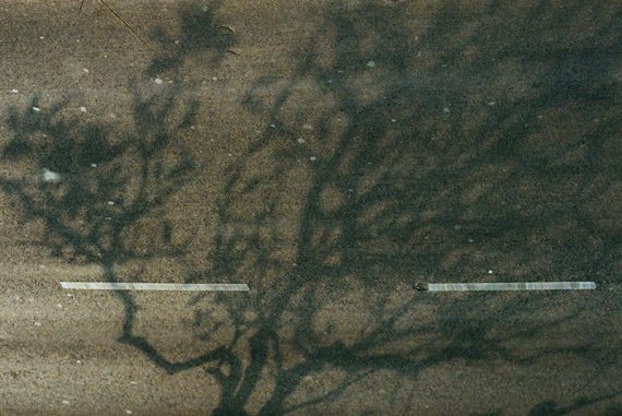 analogue_photography_madras_courier