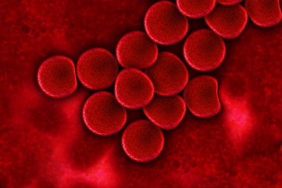 frooti_blood_madras_courier