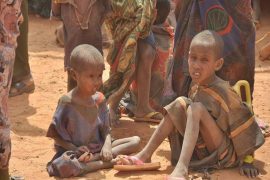 yemen_starvation_madras_courier