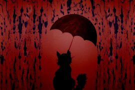 cat_rain_madras_courier