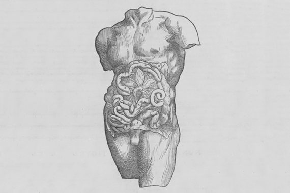 organ_donation_madras_courier