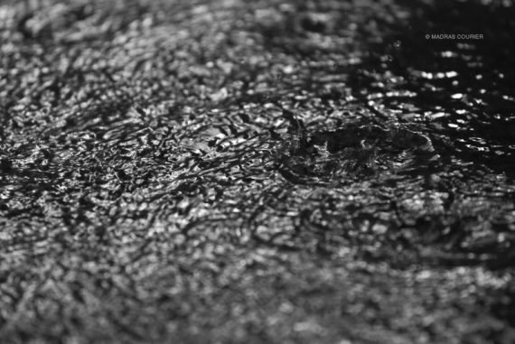 water_crisis_madras-courier