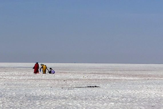 land_bank_displacement_madras_courier