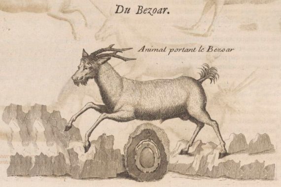 harry_potter_bezoar_madras_courier