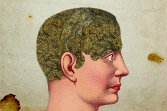 bullshit_madras_courier