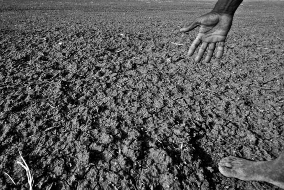 water_crisis_india_madras_courier