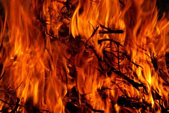 forest_fire_amazon_madras_courier