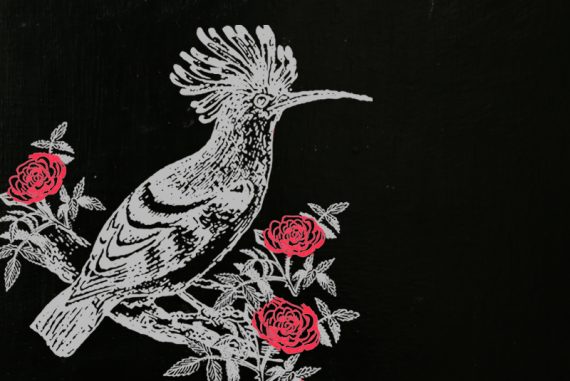 hoopoes_madras_courier