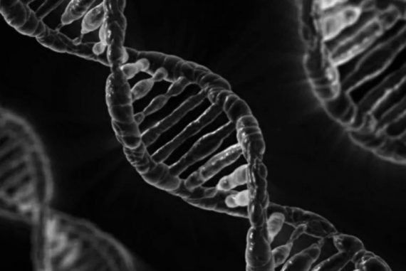 dna_madras_courier_bill