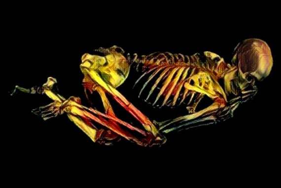 skeleton_madras_courier