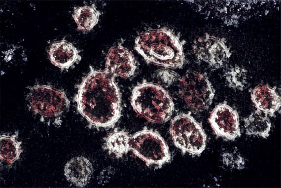 corona_madras_courier