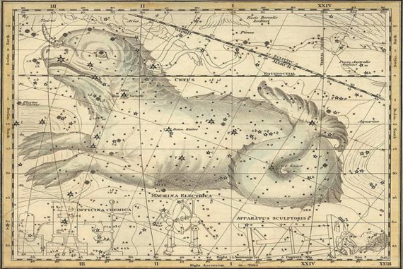 cetus_madras_courier