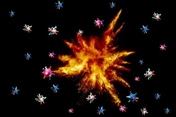 virus_evolution_madras_courier