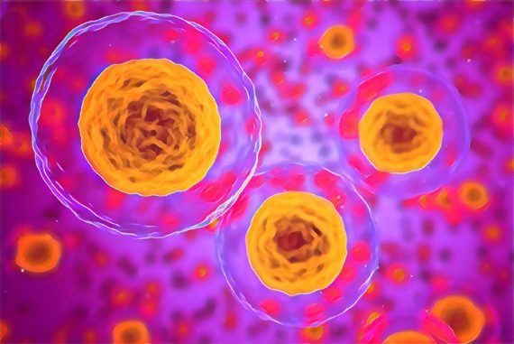 cells_of_good_hope_madras_courier