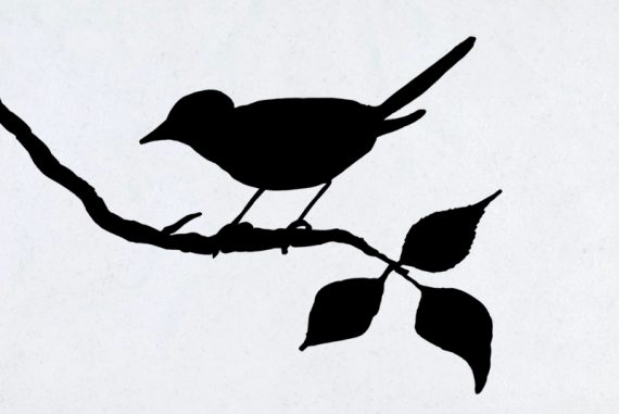 sparrow_madras_courier