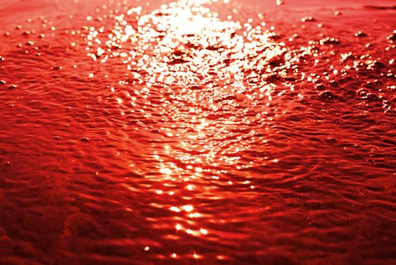 blood_rain_madras_courier