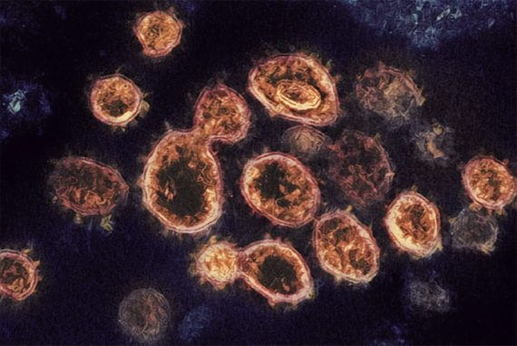 corona_madras_courier