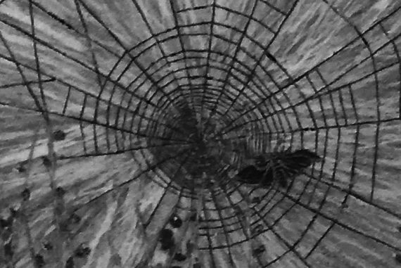 poetry_madras_courier