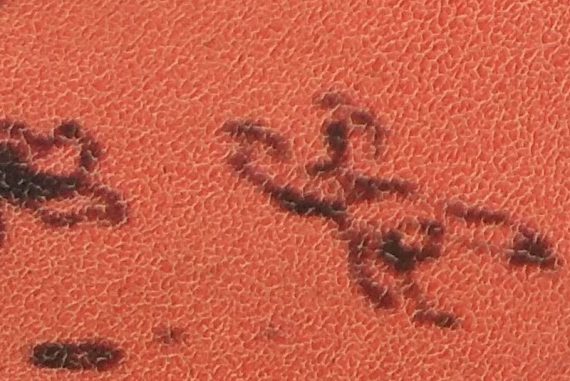 icarus_madras_courier