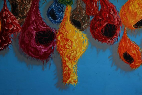 abandoned_nests_madras_courier