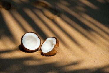 Coconuts-madras-courier