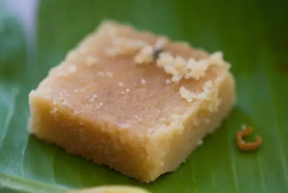 Mysorepak-madras-courier